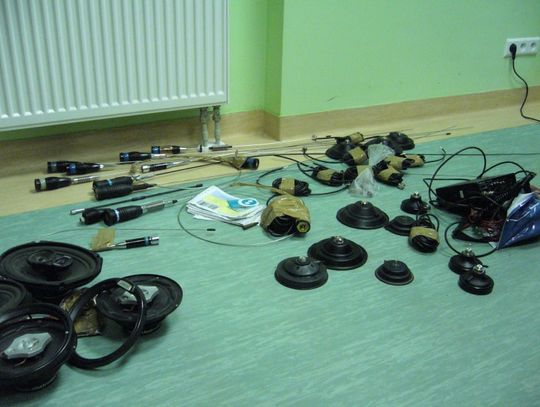 Złodziejaszek antenowy