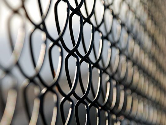 Złodzieje zza płotu