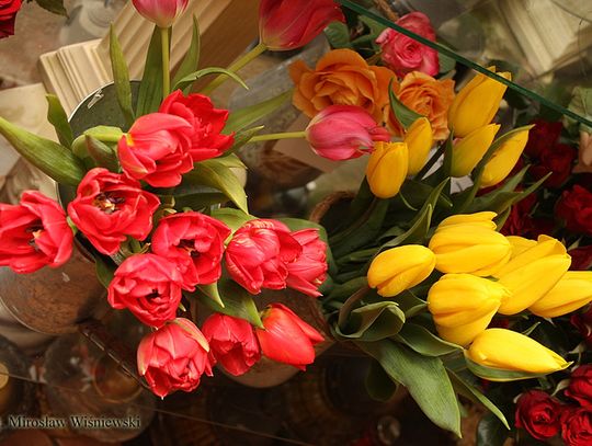 Złóż życzenia babci oraz dziadkowi