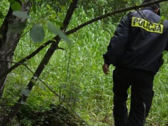 Znaleziono zwłoki mężczyzny. Ciało było pogryzione przez zwierzęta? 