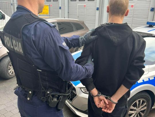 Został zatrzymany za kradzież tablicy rejestracyjnej a to początek