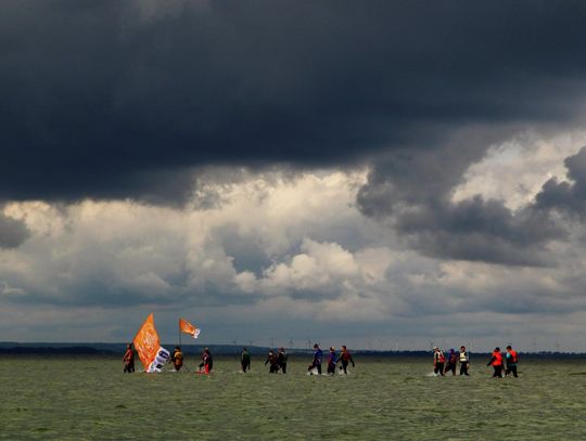 Zostań maszerującym śledziem . Zapisy już w sobotę.