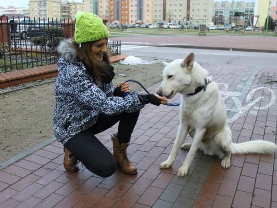 Zostań wolontariuszem tczewskiego schroniska dla zwierząt