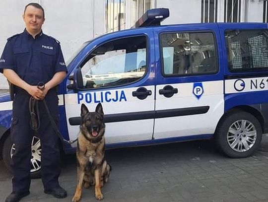 Zostawił psa w samochodzie. Po wybiciu szyby przez policjantów nie reagował na sygnały.