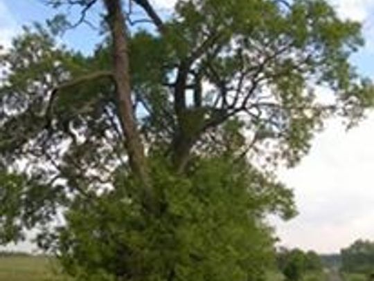 „Zróbcie coś, zanim  dojdzie do nieszczęścia!”