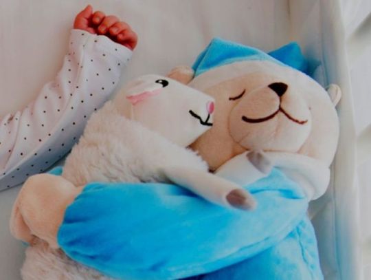 Zuzanna i Antoni - najpopularniejsi w 2020 roku 