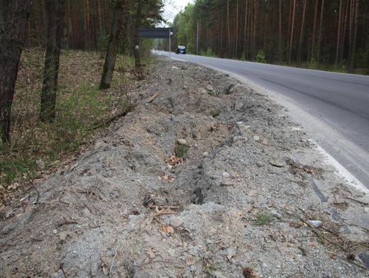 Zwierzęta niszczą pobocze wyremontowanej drogi