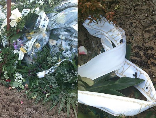 Zwierzęta paskudzą groby - problem na Cmentarzu Komunalnym