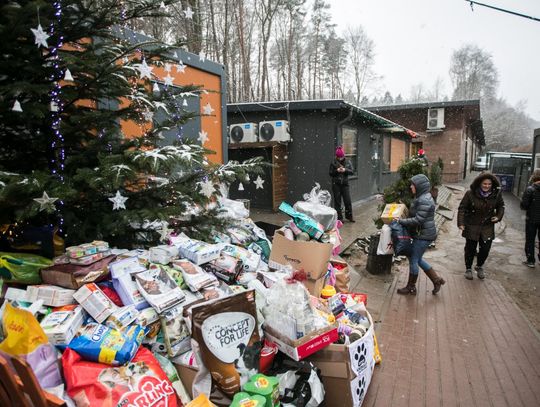 Zwierzęta też będą miały święta!