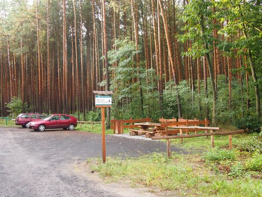 Zwłoki na parkingu przy drodze krajowej. Prokuratura bada sprawę