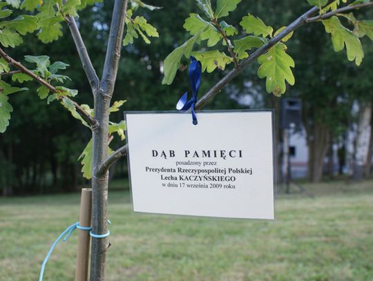 Żywy pomnik dla śp. Lecha i Marii Kaczyńskich. Uhonorują Parę Prezydencką Dębami Pamięci 