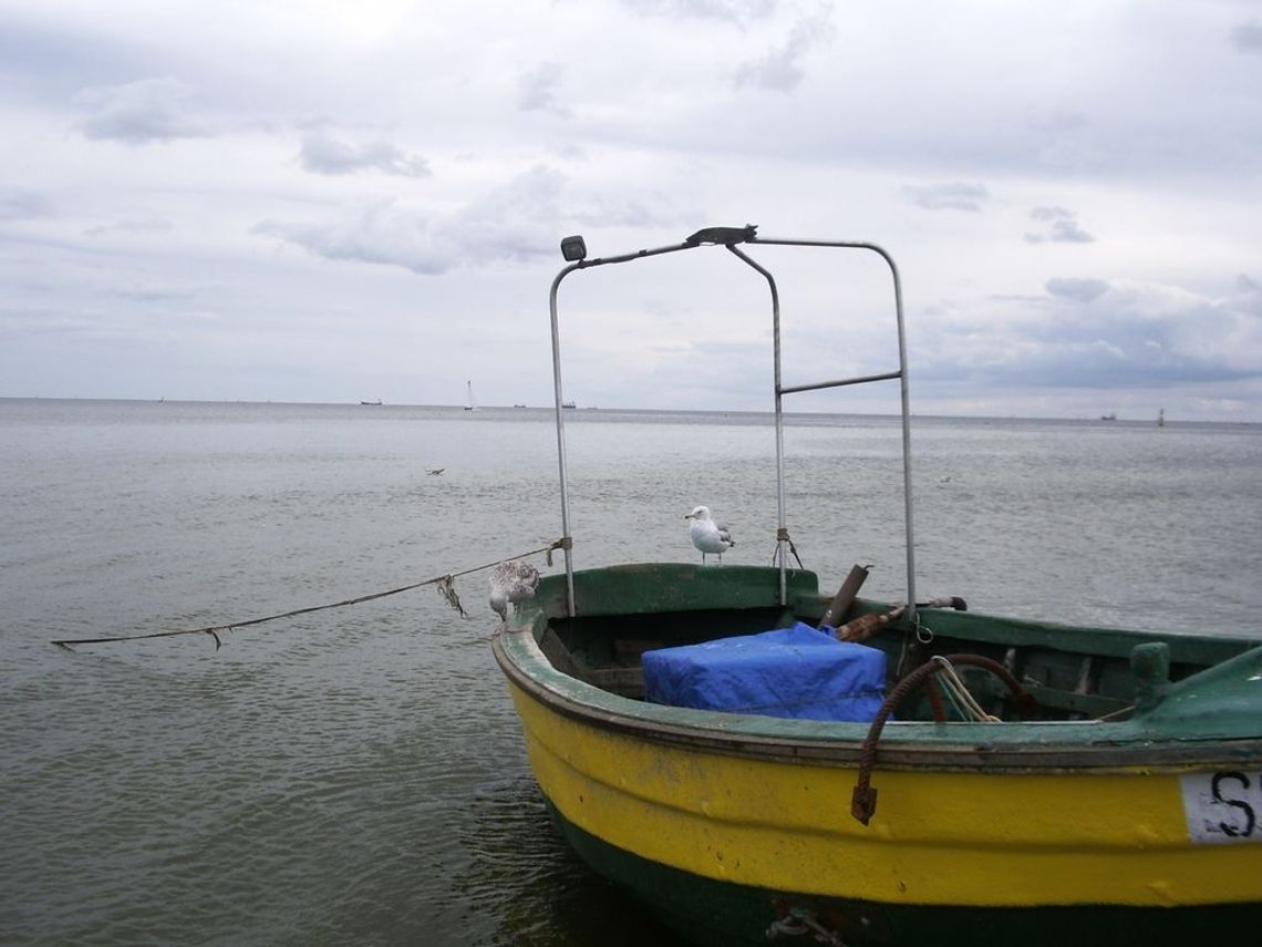 10 000 euro dla rolników przyjaznych morzu 10 000 euro dla rolników przyjaznych morzu