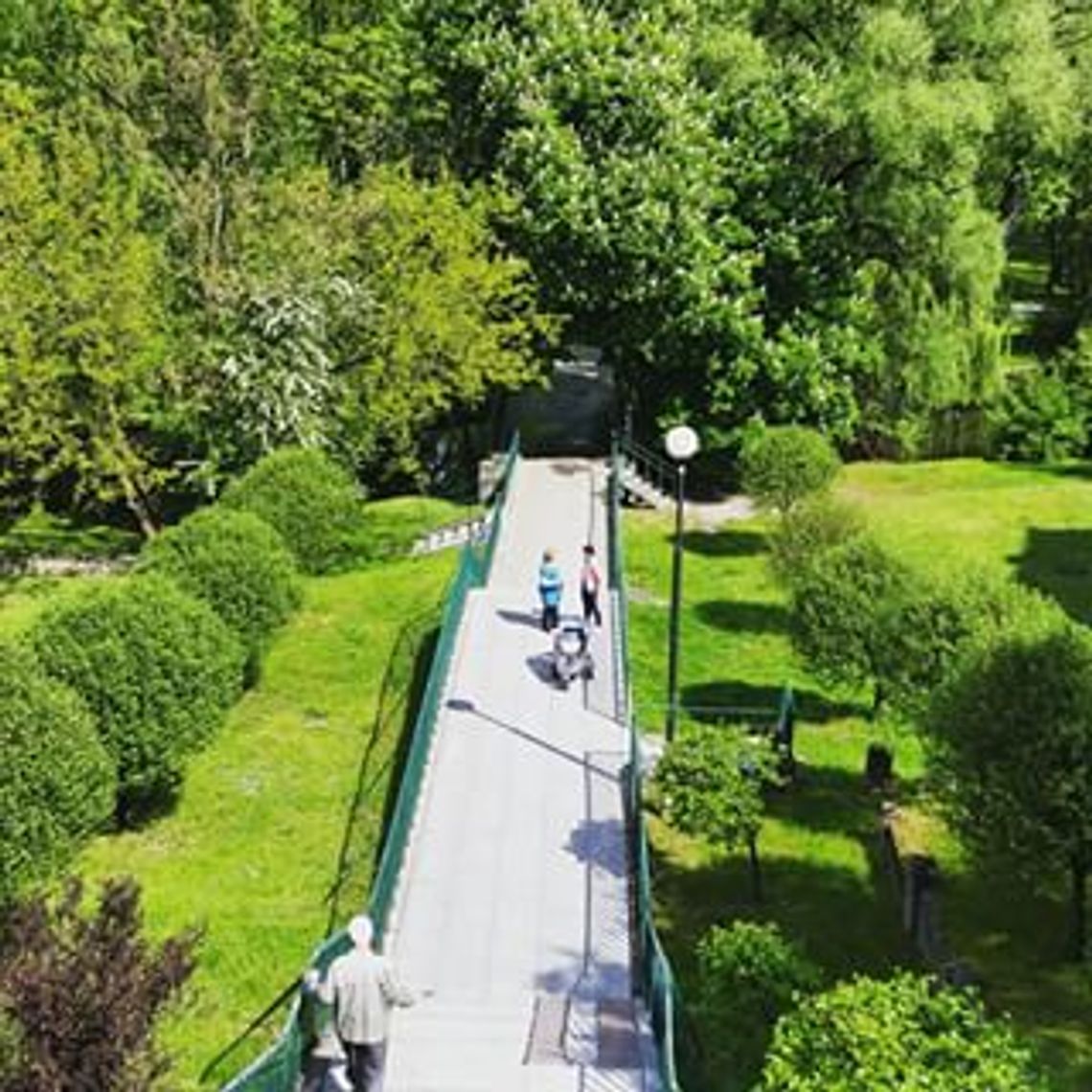 10 lutego obchodzimy Światowy Dzień Kociewia