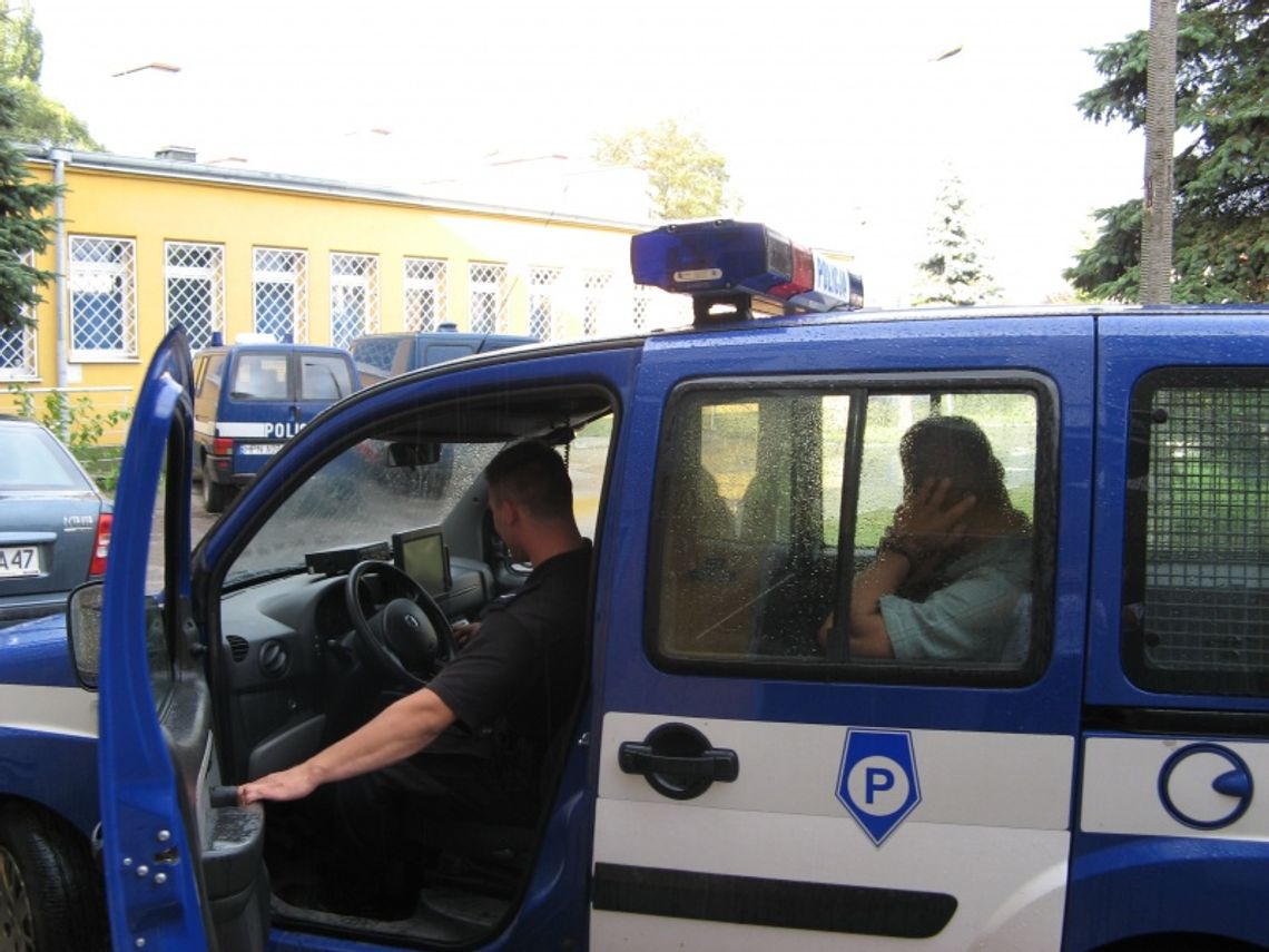 11 zarzutów w jednej reklamówce