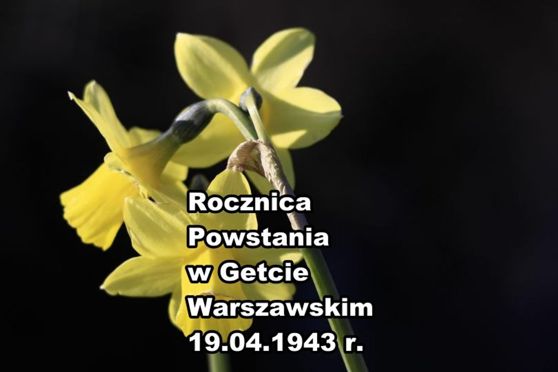19 kwietnia 2026 r. - Ważny dzień w kalendarzu. 83. Rocznica Powstania w Getcie Warszawskim