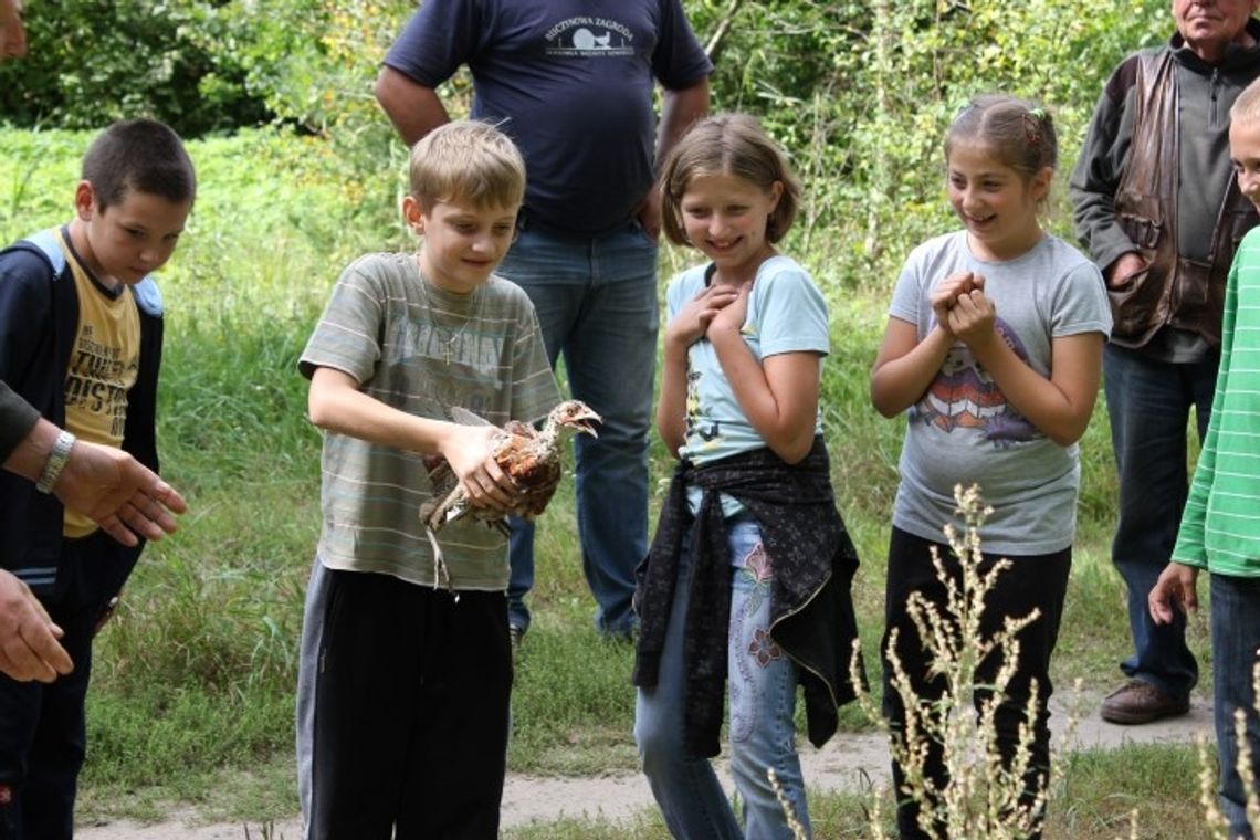 200 młodych bażantów trafiło do lasu