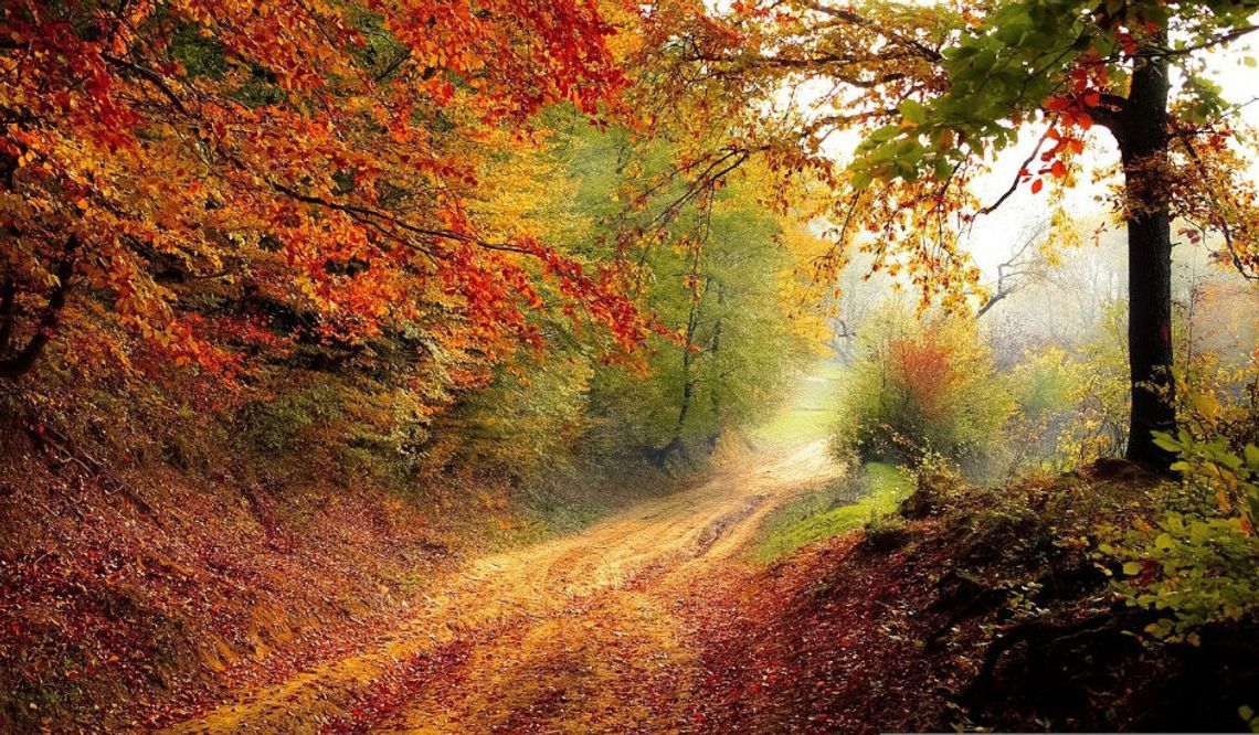 20.10.22 Każdy dzień jest dobry żeby coś uczcić albo świętować