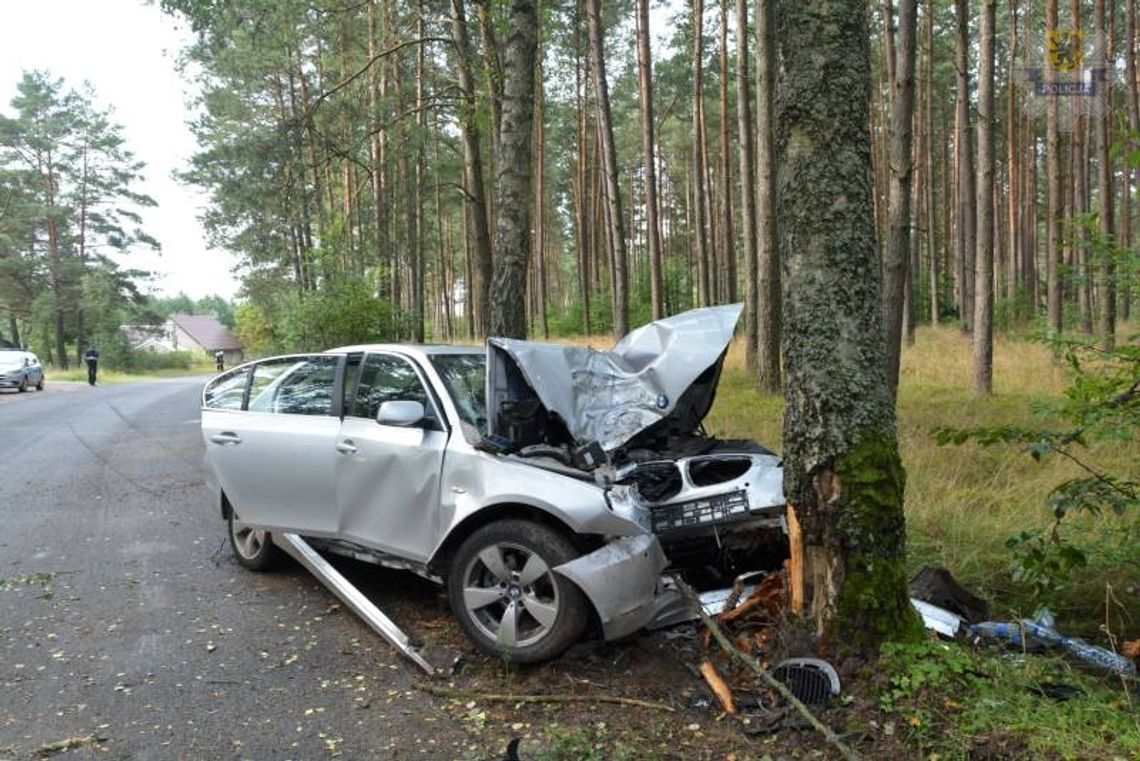 22-latek z Gdyni uderzył BMW w drzewo w Olpuchu