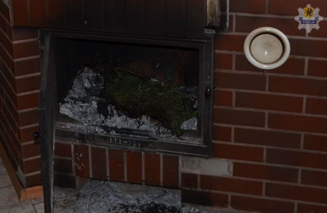 34 latek zatrzymany za posiadanie narkotyków