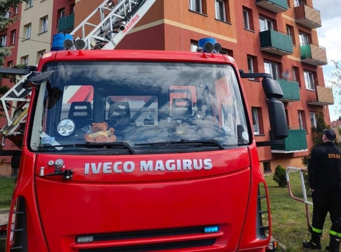 35-latek wpadł dzięki strażackiemu wysięgnikowi. Zatrzymanie łącznie 17 poszukiwanych