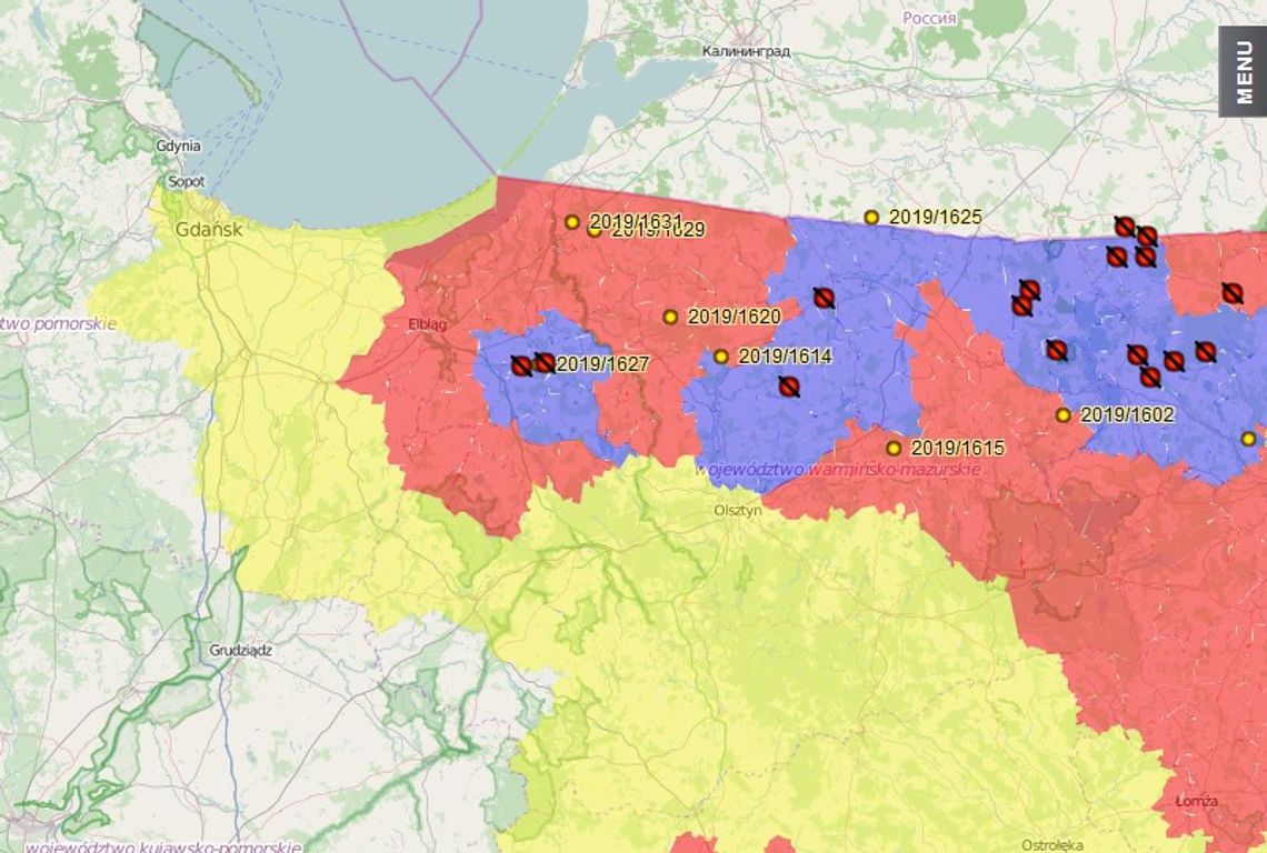 45 ognisko ASF w 2019 r. Strefy czerwone w powiecie sztumskim i malborskim