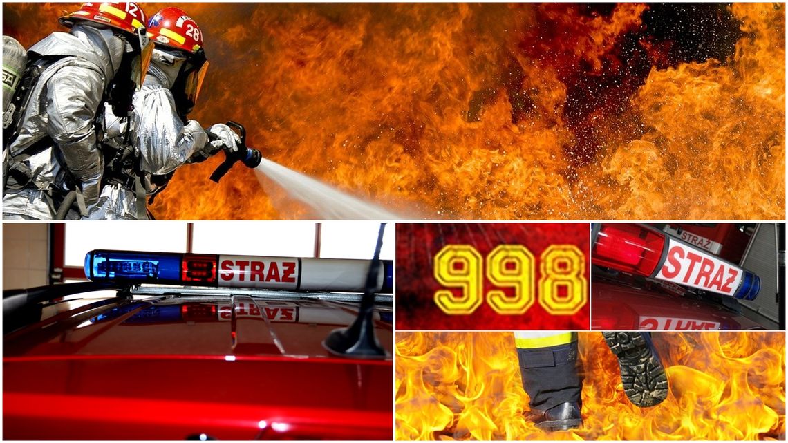 47 zdarzeń w minionym tygodniu m.in. pożar sklepu w Tczewie.  KRONIKA STRAŻACKA 19-25.07.2021