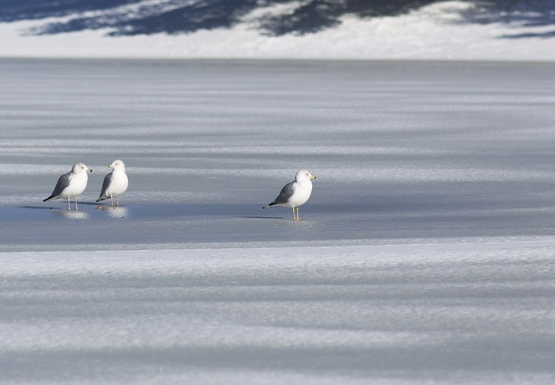 5 pomysłów na spędzenie czasu nad Bałtykiem zimą