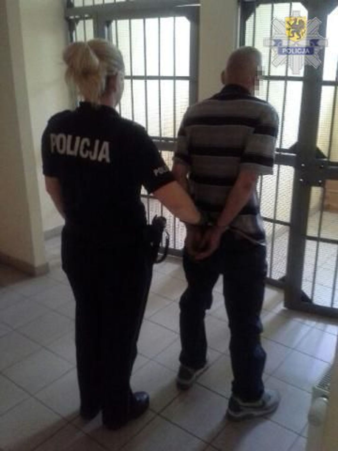 51-latek wyrzucił kota z VI piętra 51-latek wyrzucił kota z VI piętra