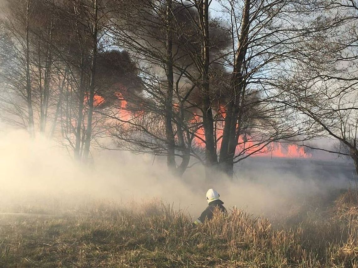 75 strażaków z naszego województwa ratowało Biebrzański Park Narodowy 