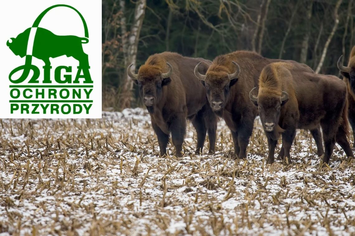 9 stycznia 2026 r. - Ważny dzień w kalendarzu. Dzień Ligi Ochrony Przyrody