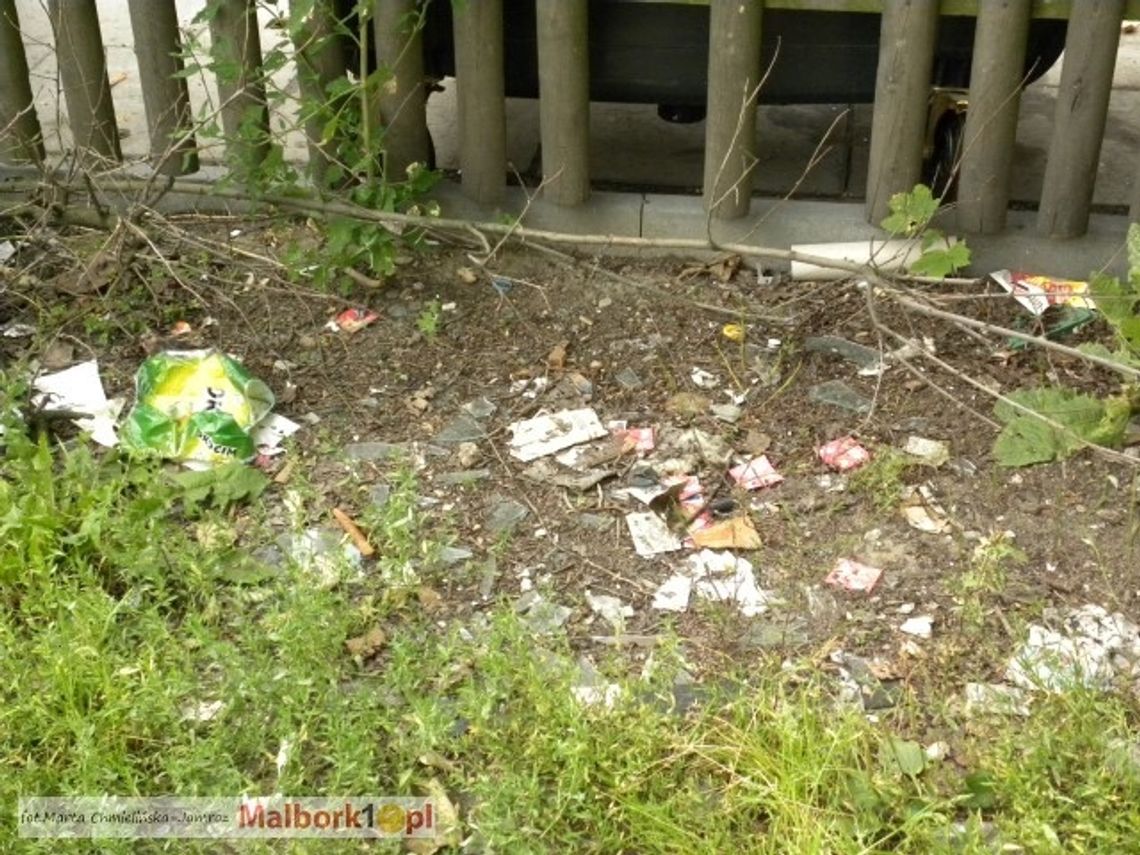 "A u nas wieczny syf". Kto posprząta przy śmietniku? "A u nas wieczny syf". Kto posprząta przy śmietniku?