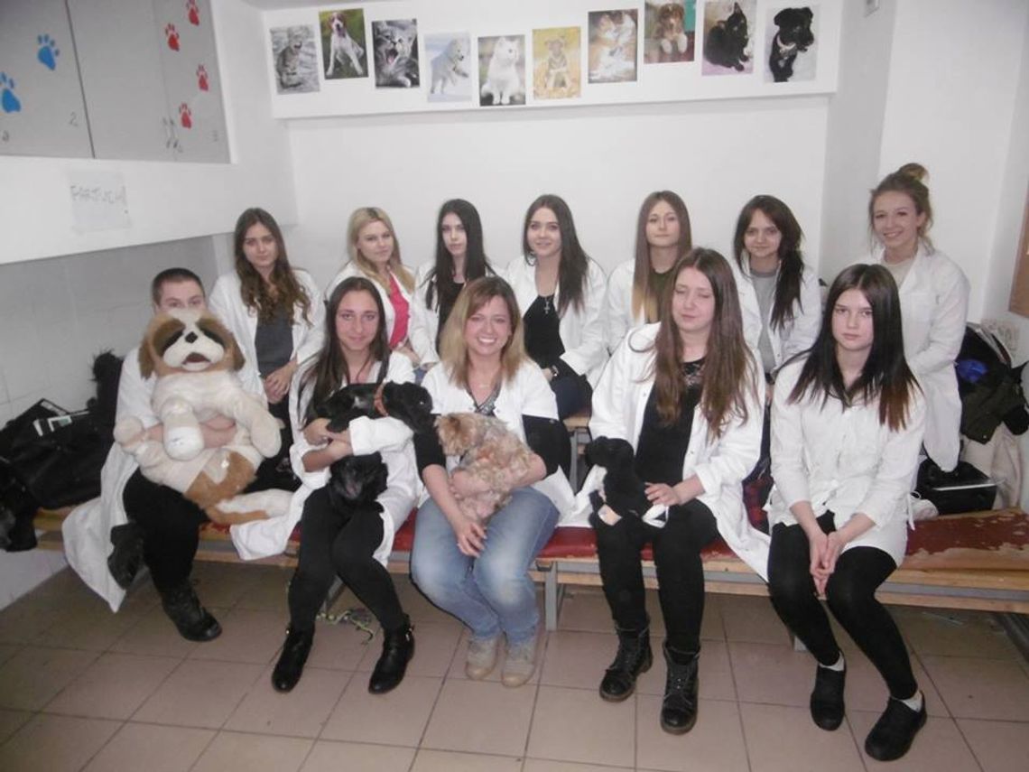 ABC Weterynaryjne – bezpłatne warsztaty dla gimnazjalistów ABC Weterynaryjne – bezpłatne warsztaty dla gimnazjalistów