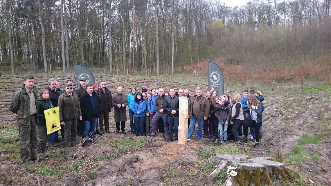 Akcja „100 milionów drzew do 2017 roku”