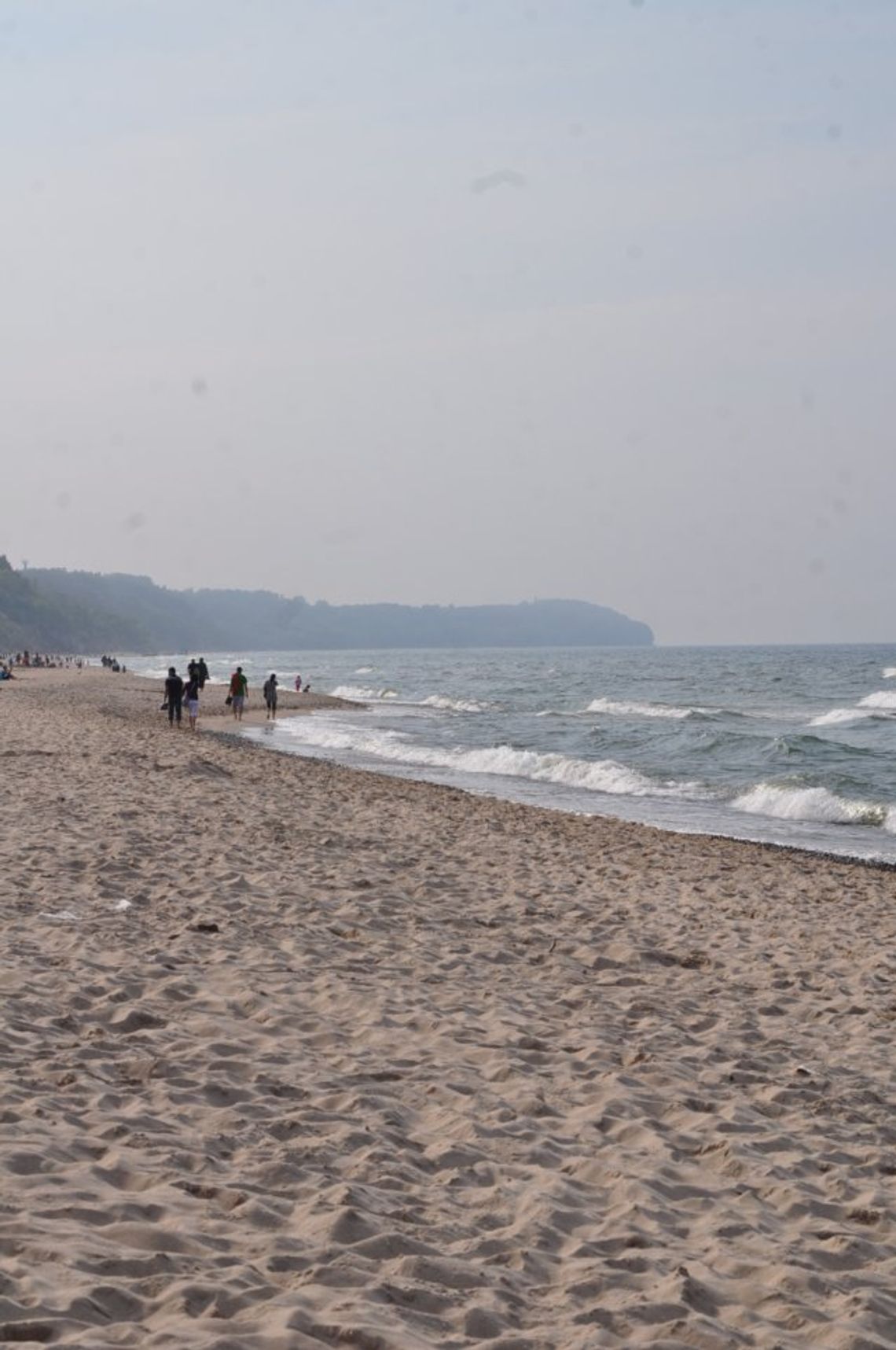 Akcja gdyńskiej biblioteki - z książką na plażę i nadmorski spacer 