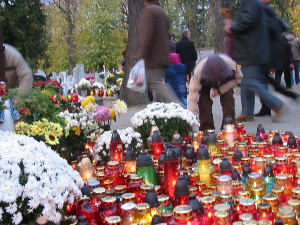 Akcja „Znicz 2008”. Zdrowy rozsądek i ostrożność Akcja „Znicz 2008”. Zdrowy rozsądek i ostrożność