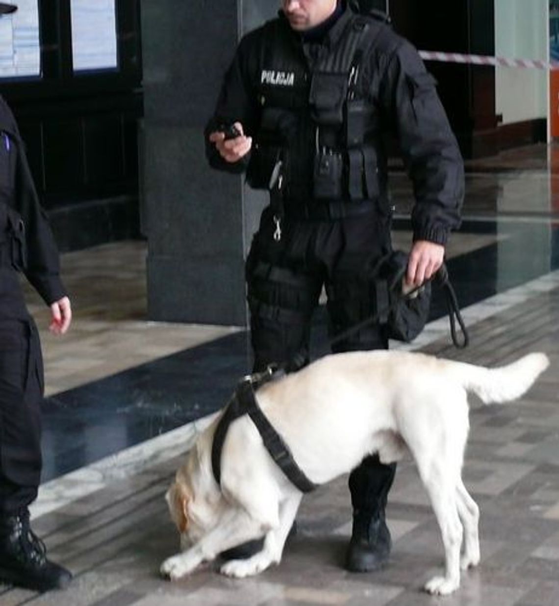 Alarm bombowy - sposób na skrócenie dnia pracy