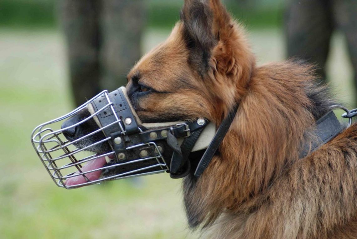 Alibi zaskoczył włamywacza Alibi zaskoczył włamywacza