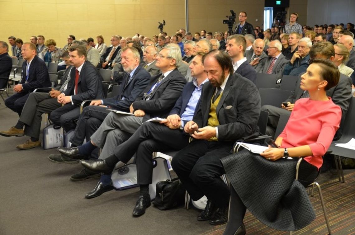 Analizowali pionierską kontruję mostu