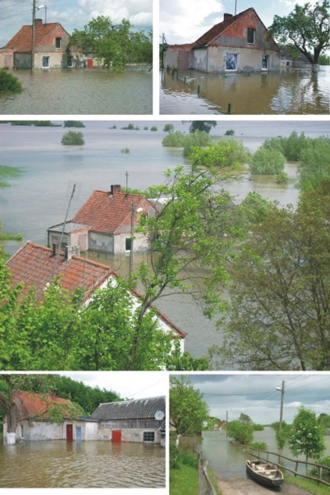 APEL DO LUDZI DOBRE WOLI!!! MOŻESZ POMÓC POWIDZIANOM!!! APEL DO LUDZI DOBRE WOLI!!! MOŻESZ POMÓC POWIDZIANOM!!!