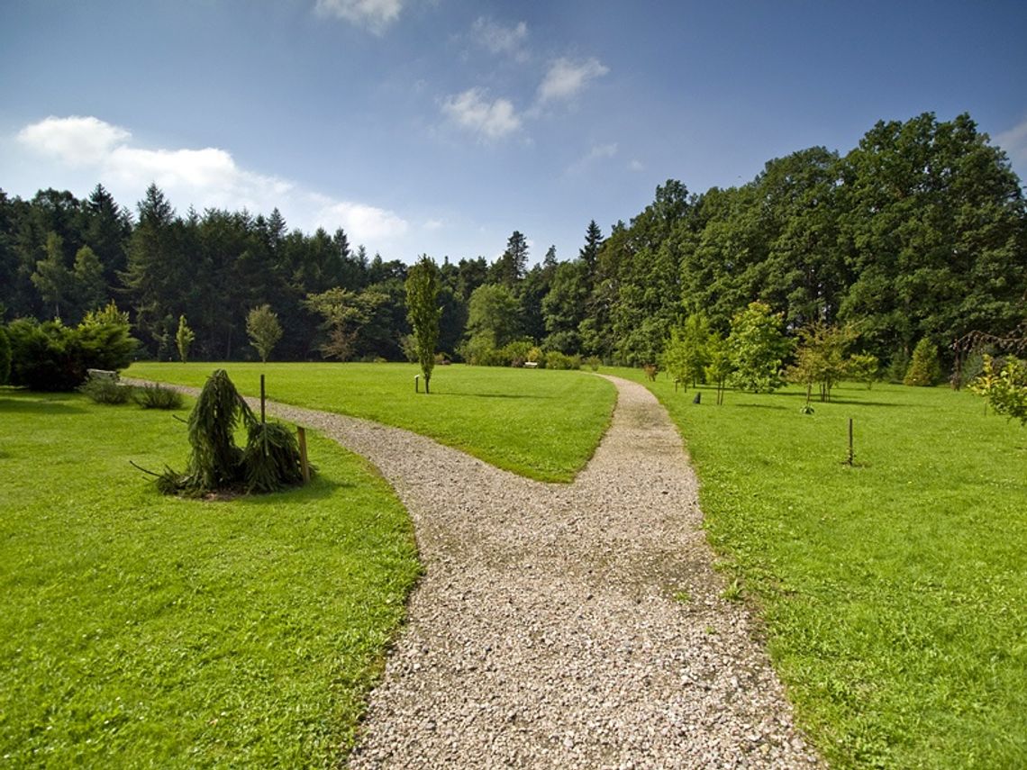 Arboretum Wirty - Najstarszy w Polsce Leśny Ogród Dendrologiczny