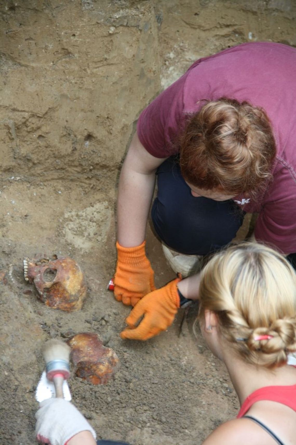 Archeolodzy odkryli tysiąc szkieletów! Archeolodzy odkryli tysiąc szkieletów!