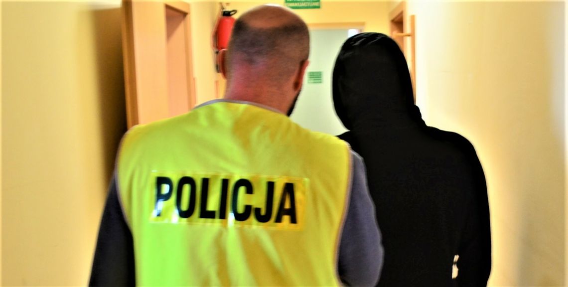 Areszt dla 20-latka, zatrzymanego przez policjantów za molestowanie dziewczynki
