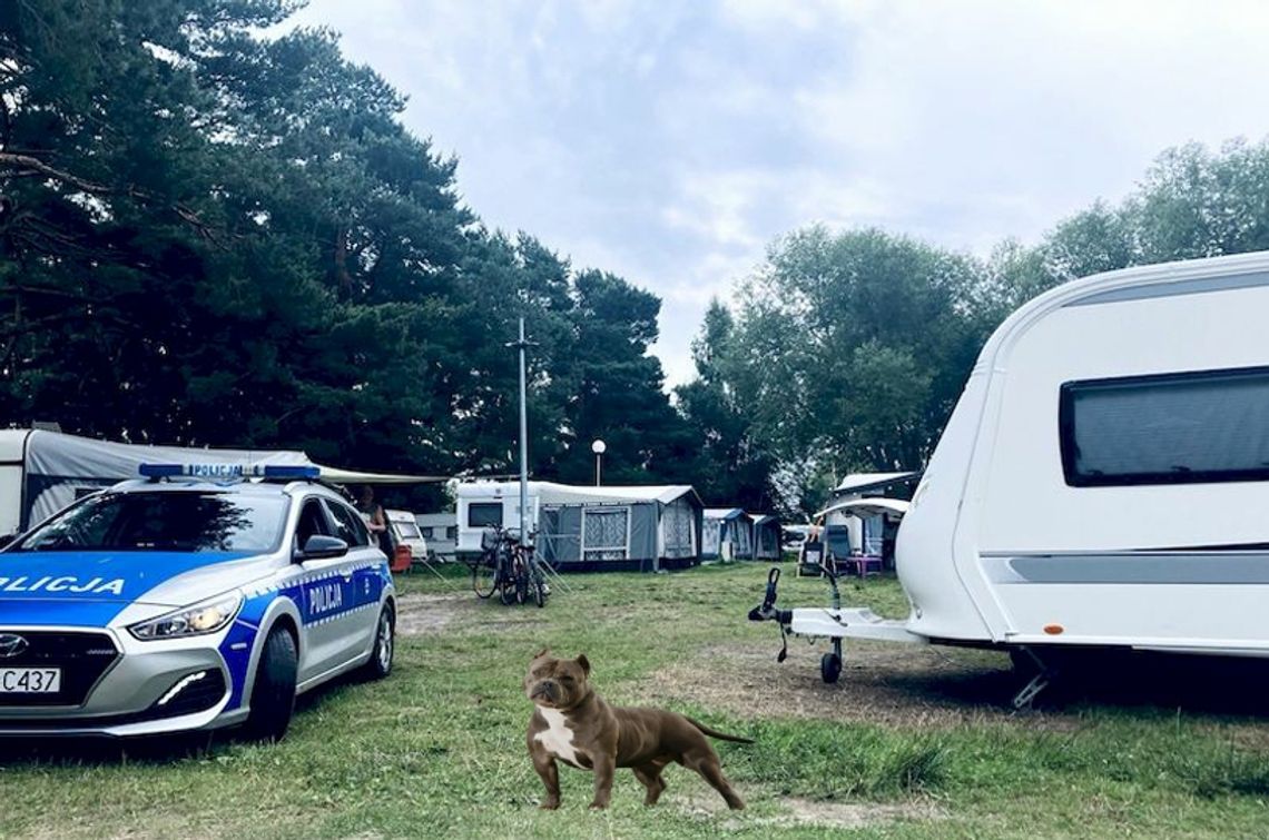 Atak agresywnego psa na campingu. 34-latka ranna po ochronie dzieci