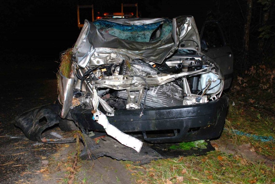 Audi potrąciło krowę i dachowało, jedna osoba nie żyje Audi potrąciło krowę i dachowało, jedna osoba nie żyje