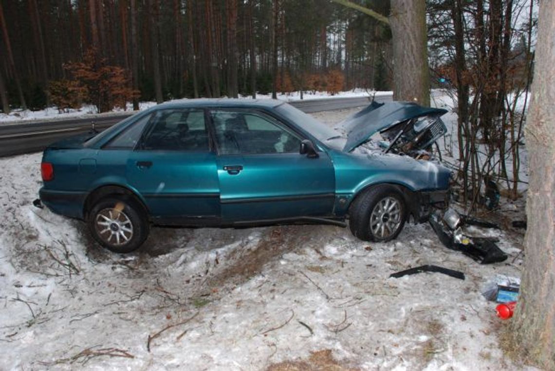 Audi w drzewo Audi w drzewo