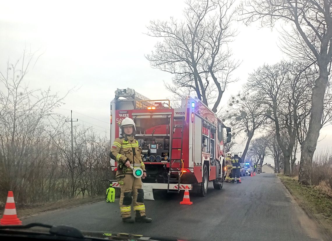 Auto osobowe i koniec jazdy na drzewie Auto osobowe i koniec jazdy na drzewie