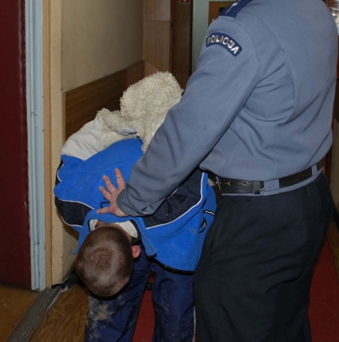 Badyci rzucali w goniących ich policjantów kłodami drewna Badyci rzucali w goniących ich policjantów kłodami drewna