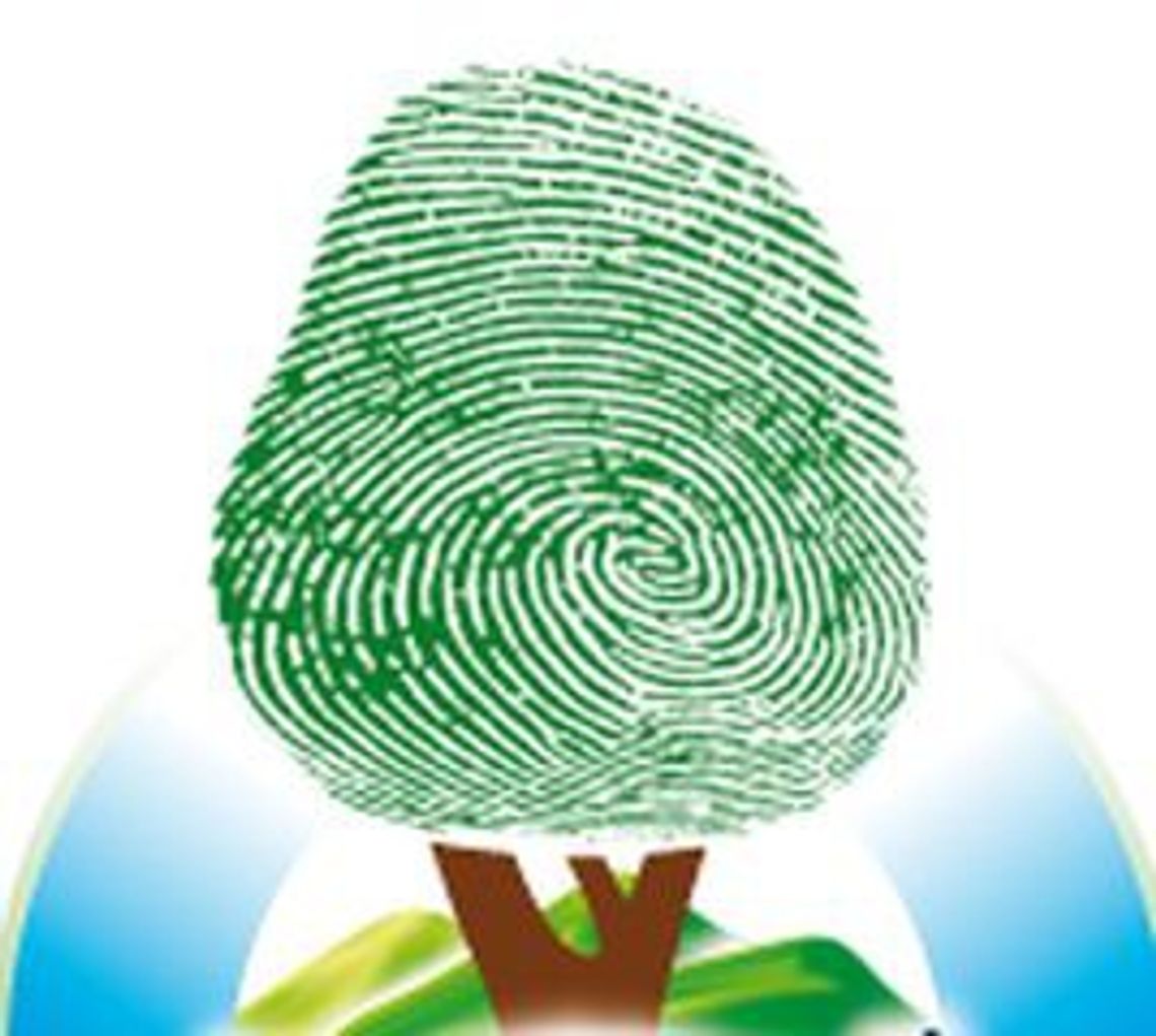 Bądź po stronie natury i wygraj grant na realizację projektu ekologicznego Bądź po stronie natury i wygraj grant na realizację projektu ekologicznego