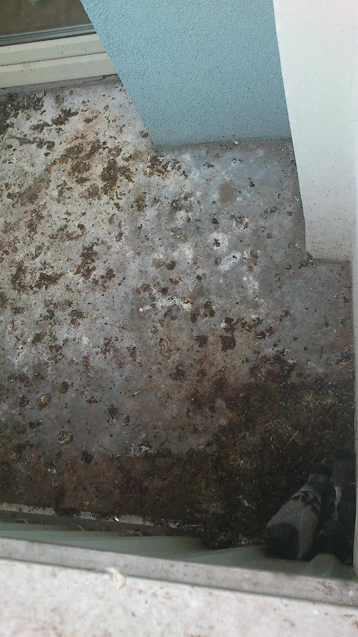 Balkon w gołębich odchodach Balkon w gołębich odchodach