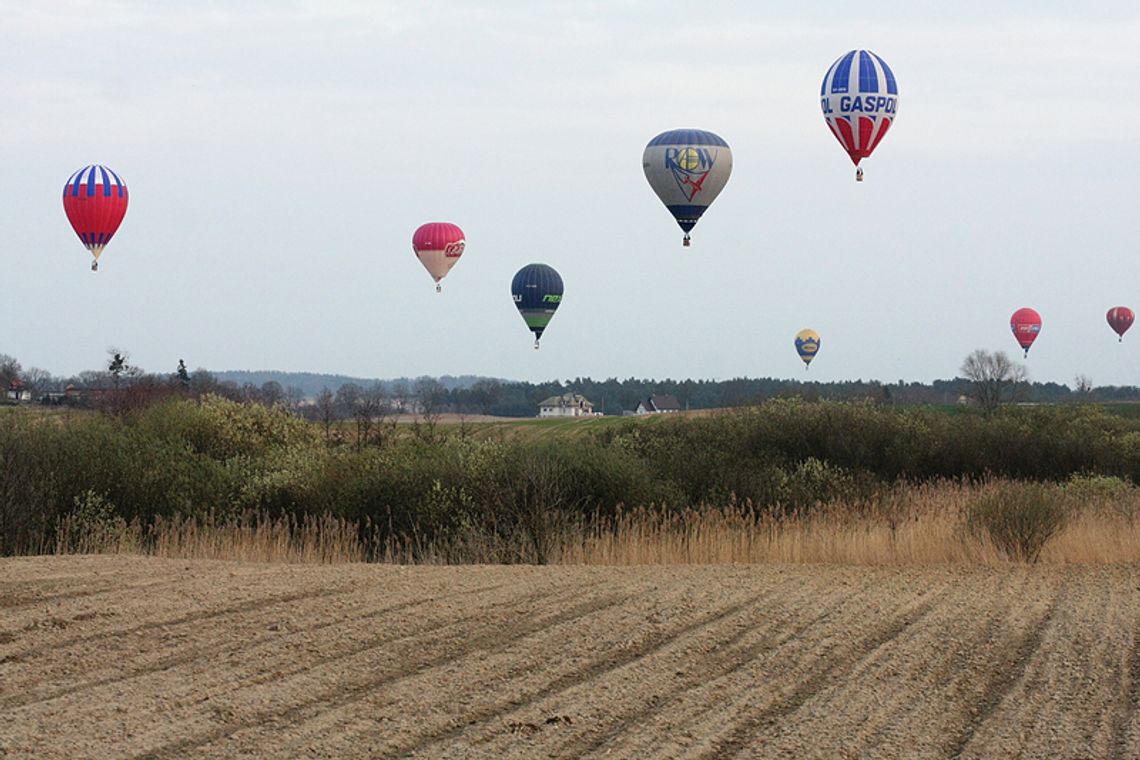 Balony na kwidzyńskim niebie Balony na kwidzyńskim niebie